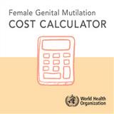 fgm-cost-thumbnail fgm-cost-thumbnail