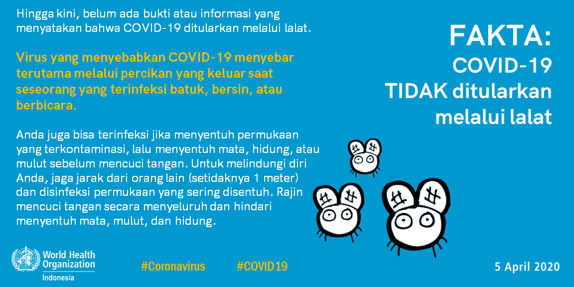 mythbuster houseflies - BI