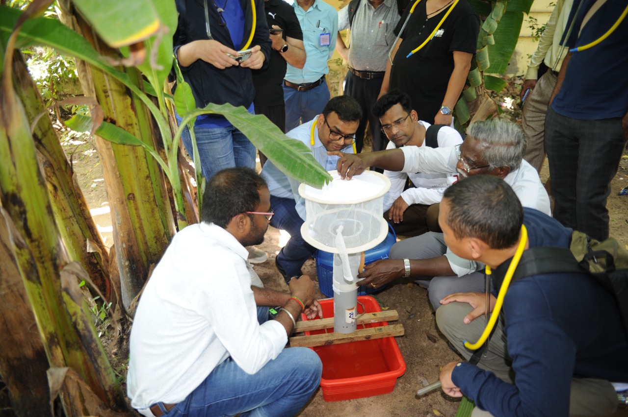 An expert demonstrating adult mosquito collection