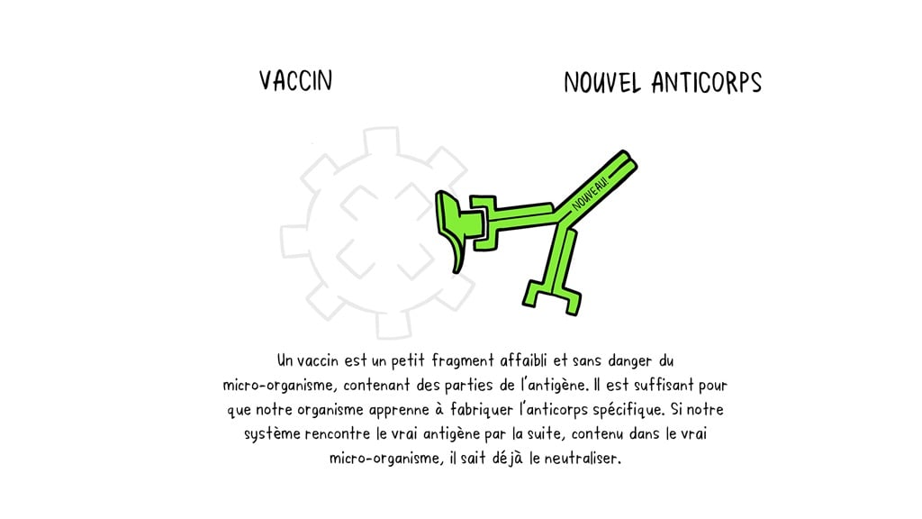Vaccines Antibody illustration 02_29 Oct Vaccines Antibody illustration 02_29 Oct