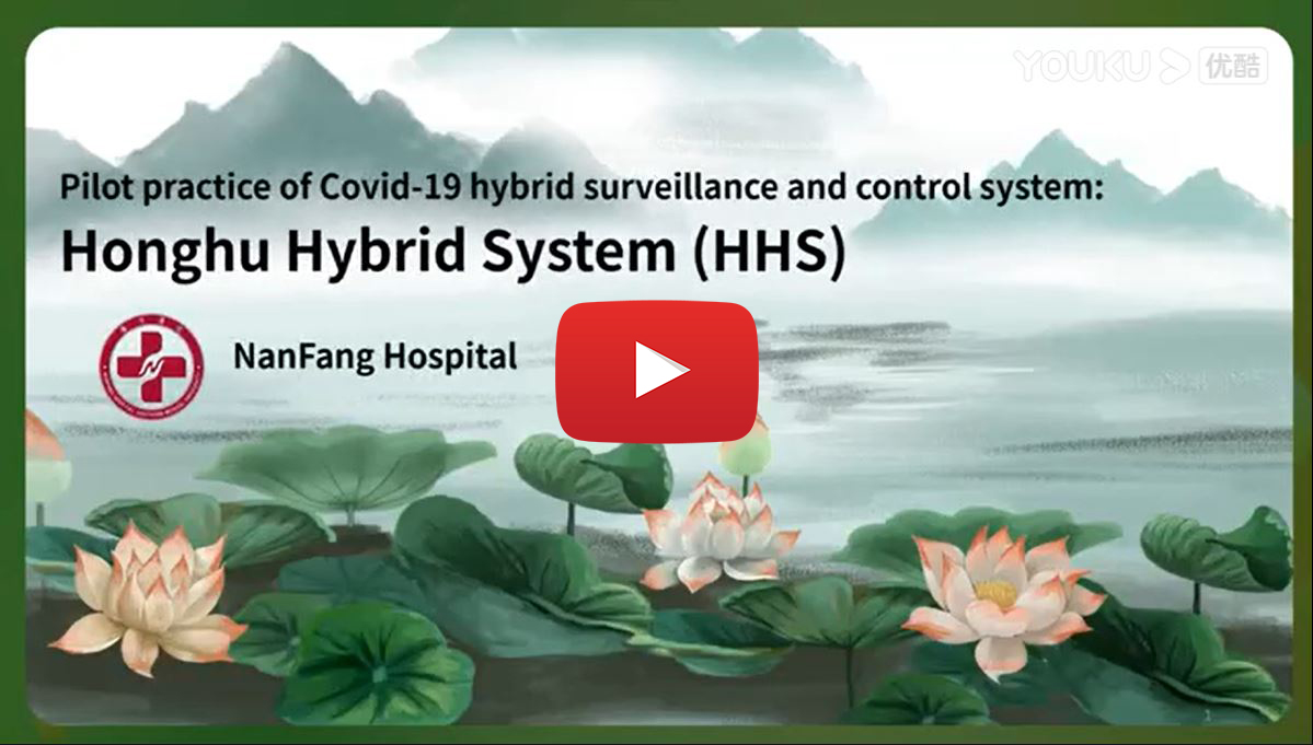 honghu-hybrid-system